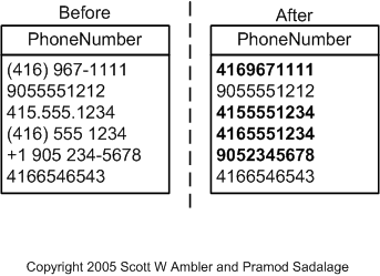 Introduce Common Format Example